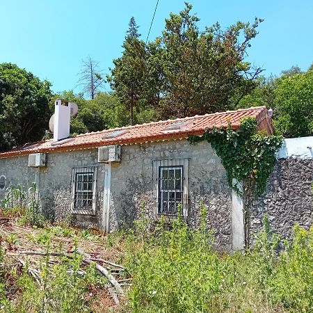 Villa Retiro D'Azenha à Almoster Extérieur photo