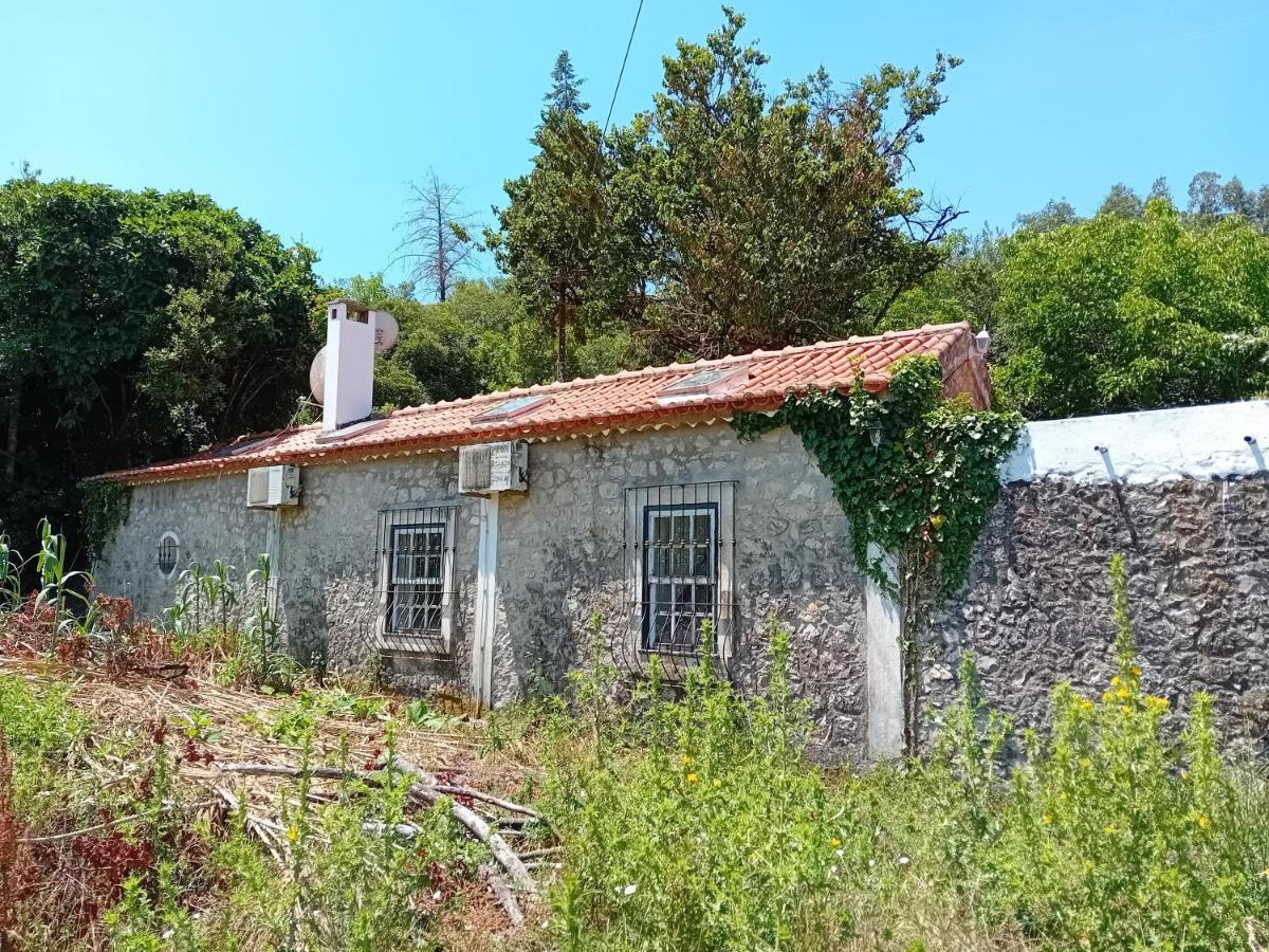 Villa Retiro D'Azenha à Almoster Extérieur photo