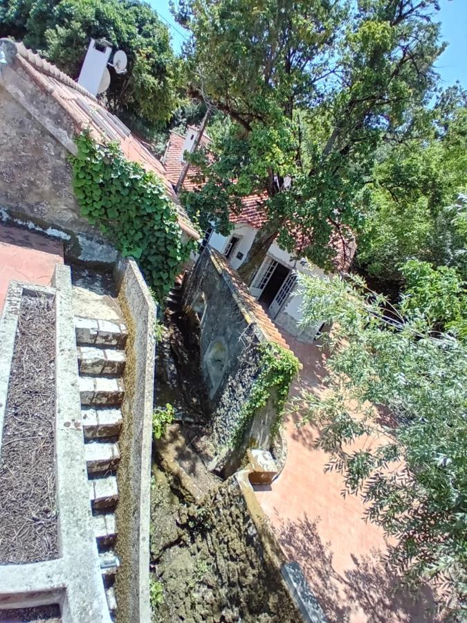 Villa Retiro D'Azenha à Almoster Extérieur photo